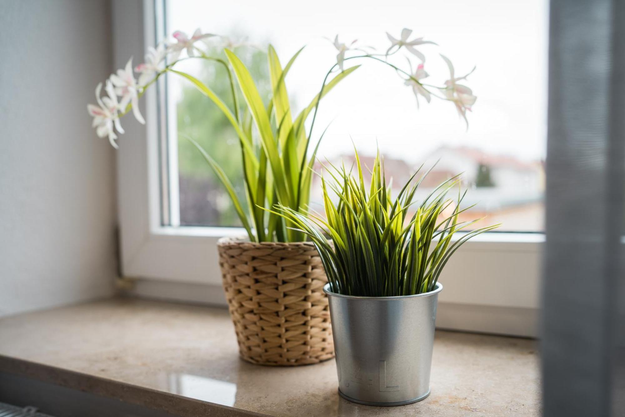 Doppelzimmer 1 - Neu Renoviert Dinkelsbuehl Ngoại thất bức ảnh